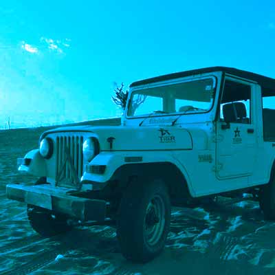 Village jeep Safari jodhpur
